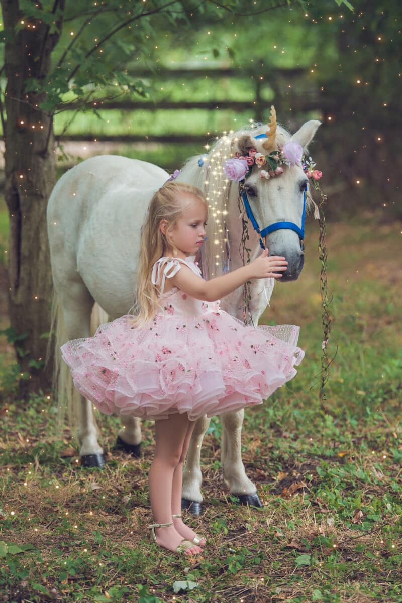 🦄✨ Unicorn Mini Sessions – Limited Availability! ✨🦄 - Image 4