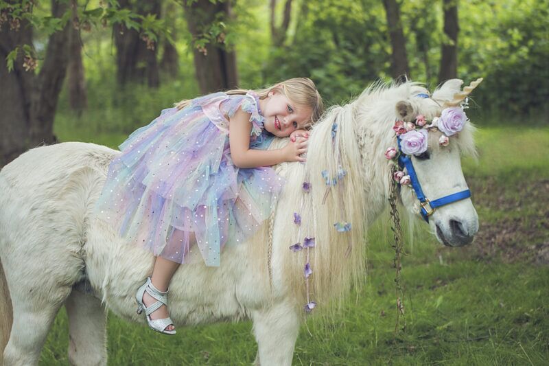 🦄✨ Unicorn Mini Sessions – Limited Availability! ✨🦄 - Image 8